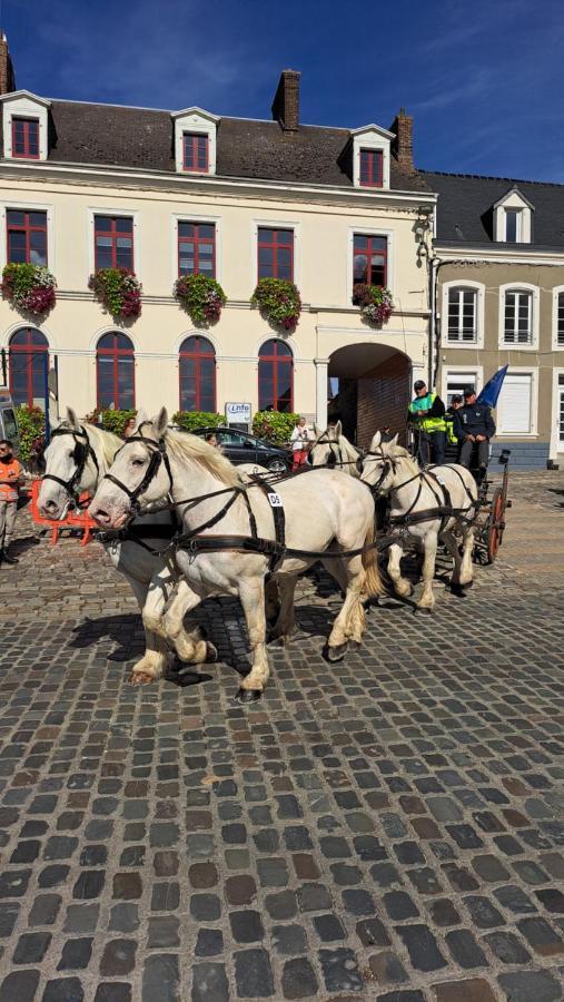Gite La Grange 8Personnes Au Sein D'Un Elevage De Chevaux Brucquedal 外观 照片